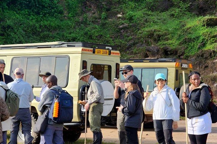 Tilgængelige 5 dage Gorilla tracking Bwindi og chimpanse trekking