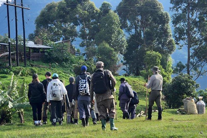 Overkommelige 2 dage Gorilla tracking Bwindi via Kigali Rwanda