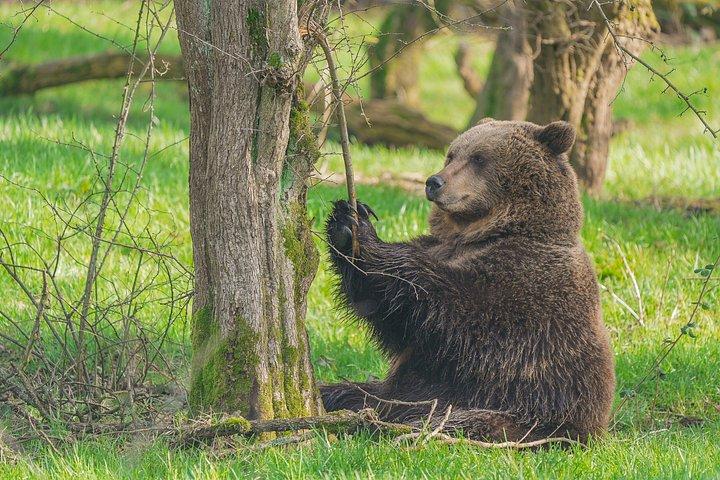 Whipsnade Zoo Toegangsbewijs