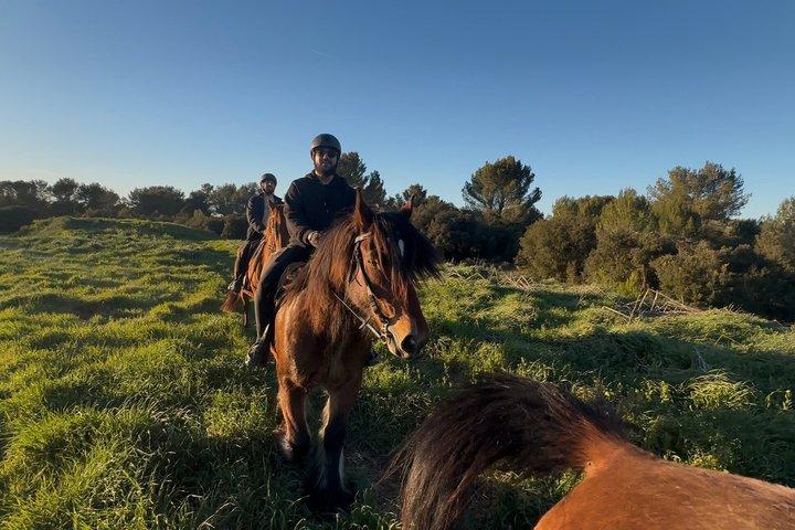 Ridning i Provence