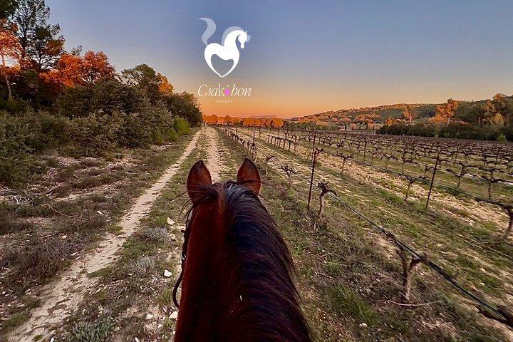 Ridning i Provence