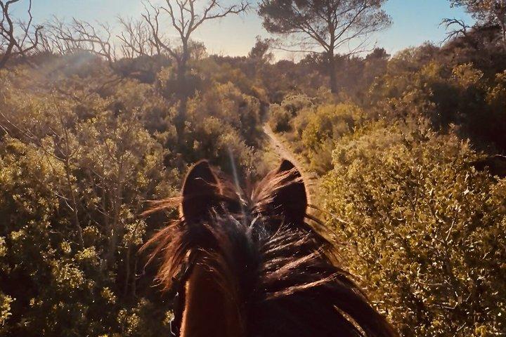 Ridning i Provence