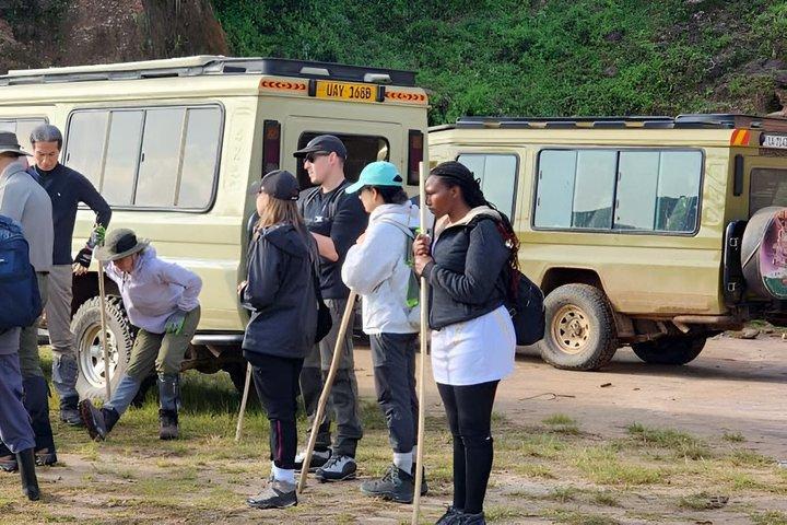 Overkommelige 2 dage Gorilla tracking Bwindi via Kigali Rwanda