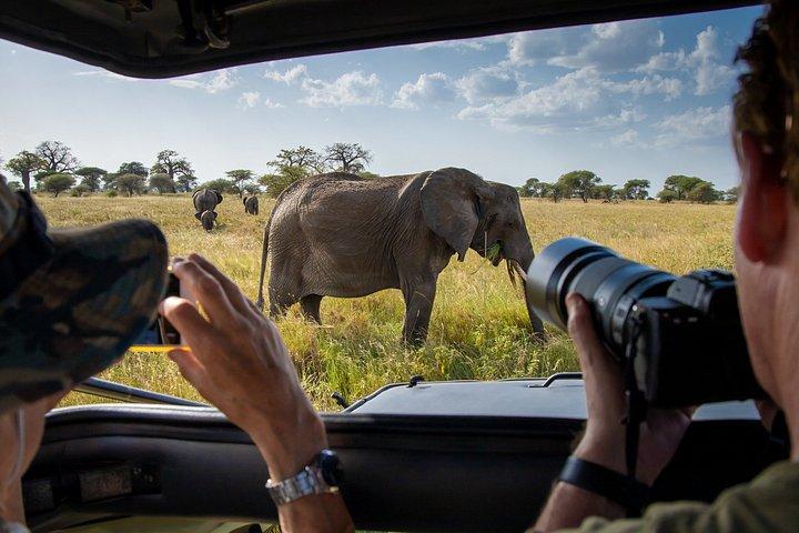 Private 6 Day Arusha Adventure Tour by 4WD