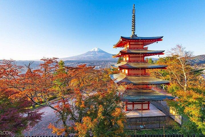 富士山日帰りツアー:新倉山・忍野八海・河口湖