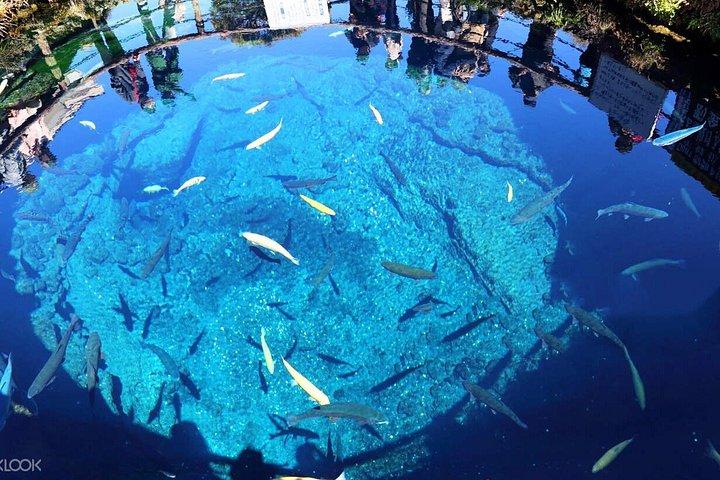 富士山日帰りツアー：新倉山・忍野八海・河口湖