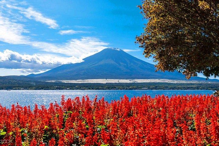 富士山日帰りツアー：新倉山・忍野八海・河口湖