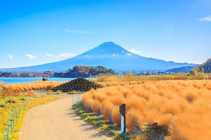富士山日帰りツアー:新倉山・忍野八海・河口湖