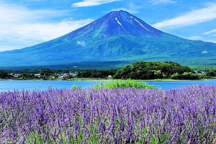 富士山日帰りツアー：新倉山・忍野八海・河口湖
