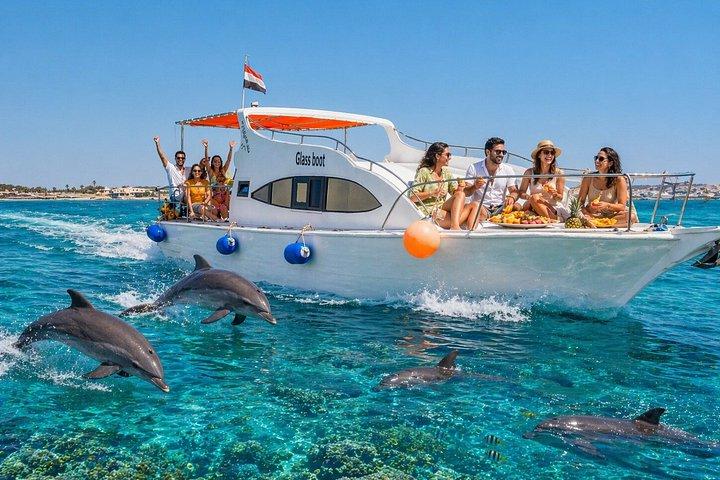ハルガダプライベートグラスボート体験 赤海で4時間