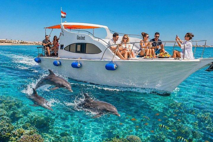 ハルガダプライベートグラスボート体験 赤海で4時間
