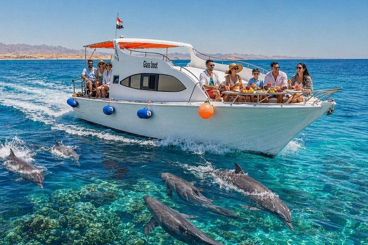 ハルガダプライベートグラスボート体験 赤海で4時間