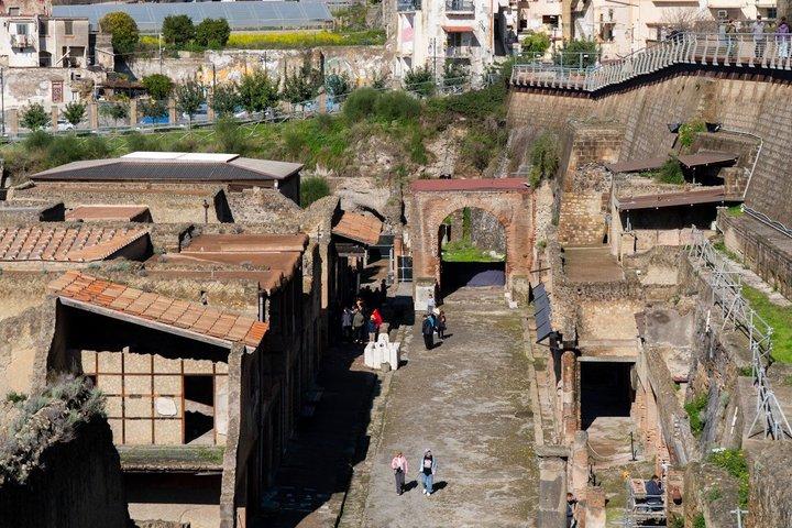 All inclusive Herculaneum Skip the Line Tour From Sorrento