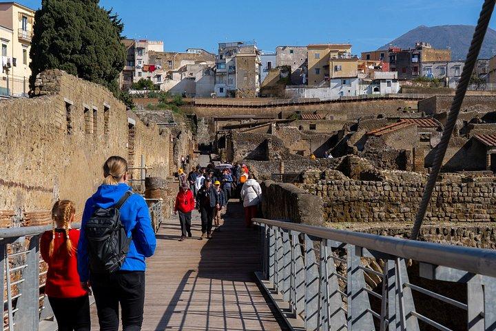 ソレントからラインツアーをスキップするオールインクルーシブのHerculaneum