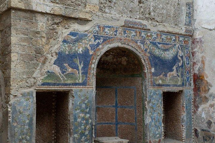 ソレントからラインツアーをスキップするオールインクルーシブのHerculaneum