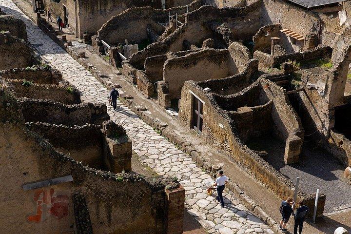 ソレントからラインツアーをスキップするオールインクルーシブのHerculaneum