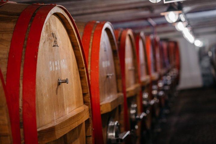 Excursão imersiva à cervejaria com degustações de cerveja - Área de Bruxelas
