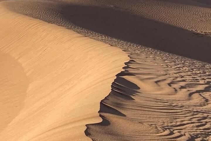 Excursion depuis Ouarzazate à vallee Du Drâa et Dunes De Tinfou