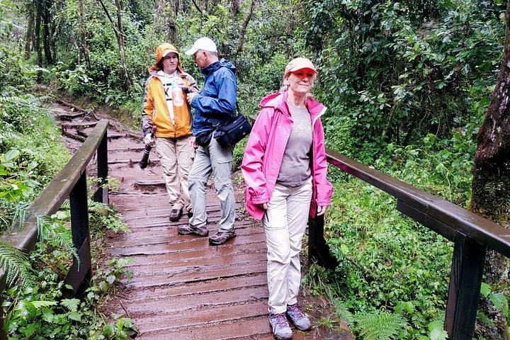 Kilimanjaro Day Hike Experience from Arusha – Marangu Route