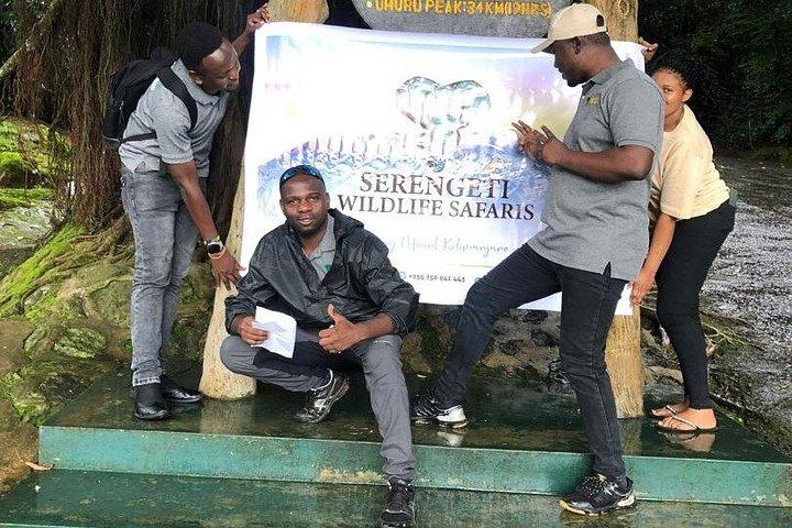 Kilimanjaro Day Hike Experience from Arusha – Marangu Route