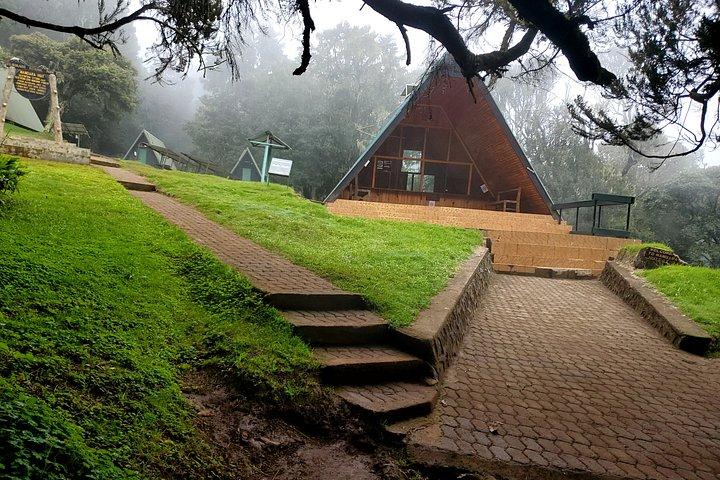 Kilimanjaro Day Hike Experience from Arusha – Marangu Route