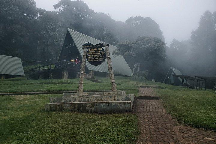Kilimanjaro Day Hike Experience from Arusha – Marangu Route