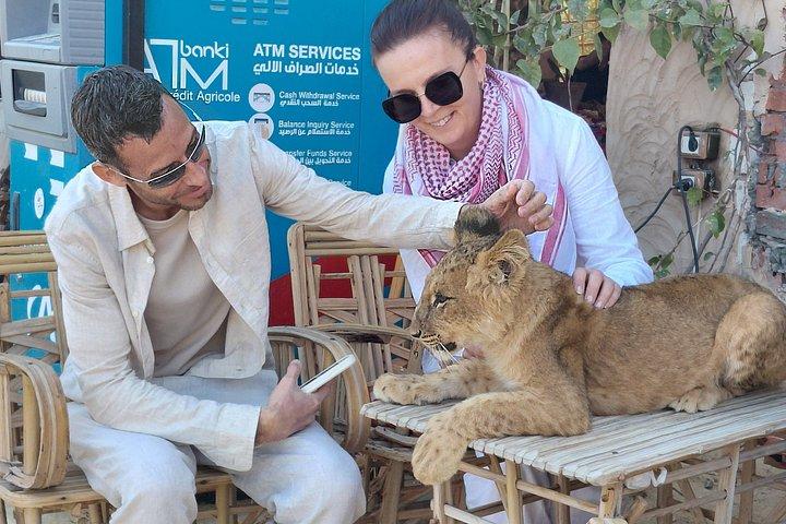 Siwa Oasis Private Tour from Cairo