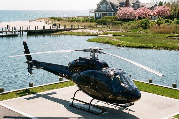 マンハッタンからのプライベート ヘリコプターによるハンプトンズ インサイダー ツアー