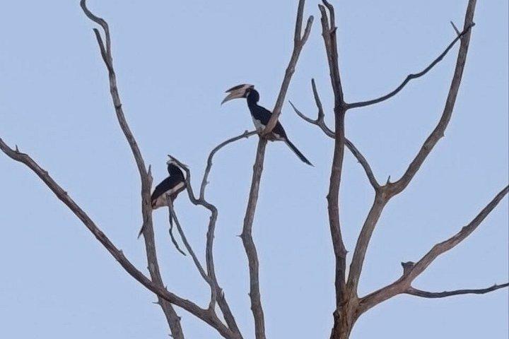 コロンボ空港からタクシーでアハンガマ、ウェリガマ、ミリッサへ