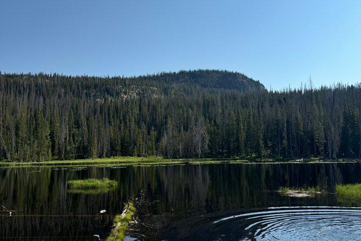 Montañas de Uinta : Extreme 2 Hour UTV Adventure (2 Seat RZR)