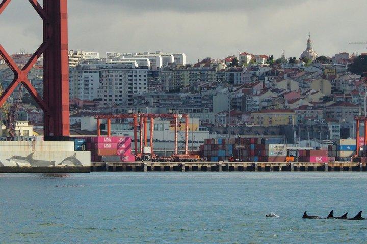 Hoteller i nærheden af Lisbon Dolphin Watching Ocean Safari