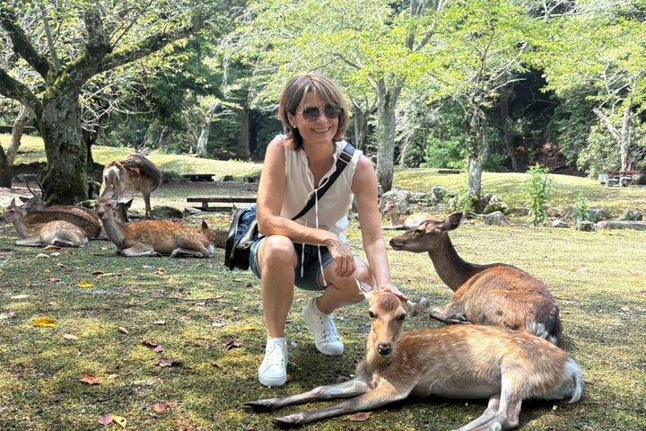 Halvdagstur til Hiroshima Miyajima Island