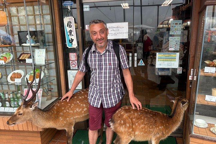 Hiroshima: Miyajima Island Half Day Tour
