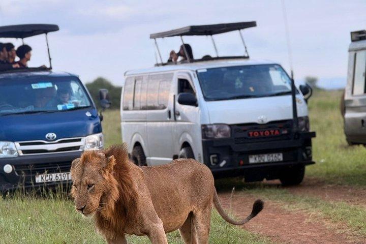 Esplora i Big Five Safari privati del Kenya