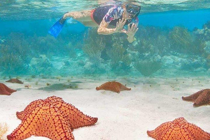 Tour de buceo en la costa de Roatán en West Bay Beach