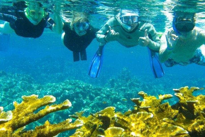 Tour de buceo en la costa de Roatán en West Bay Beach