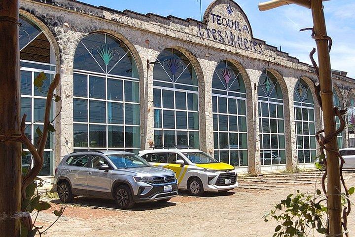 テキーラのプライベートツアー：職人技が光る蒸留所とリュウゼツラン畑