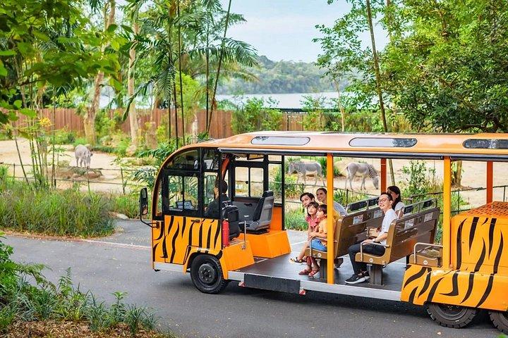シンガポール動物園入場券（トラムライドアクセス付き）