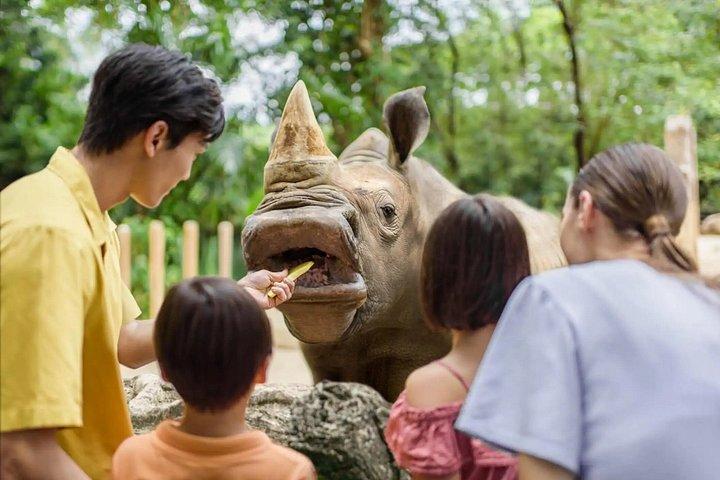 シンガポール動物園入場券（トラムライドアクセス付き）