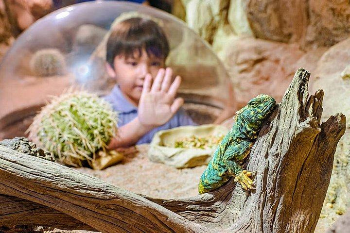 シンガポール動物園入場券（トラムライドアクセス付き）