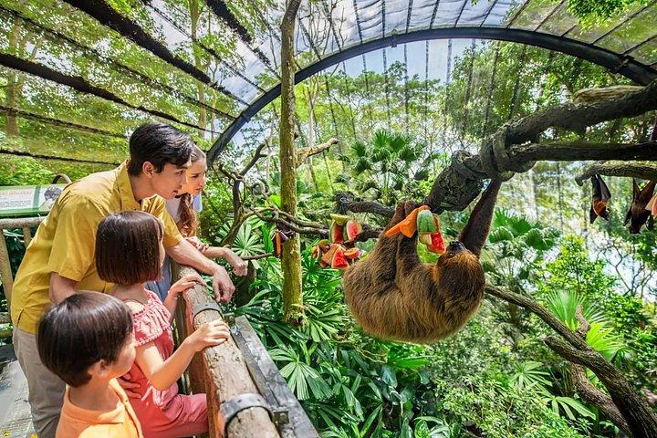 シンガポール動物園入場券（トラムライドアクセス付き）