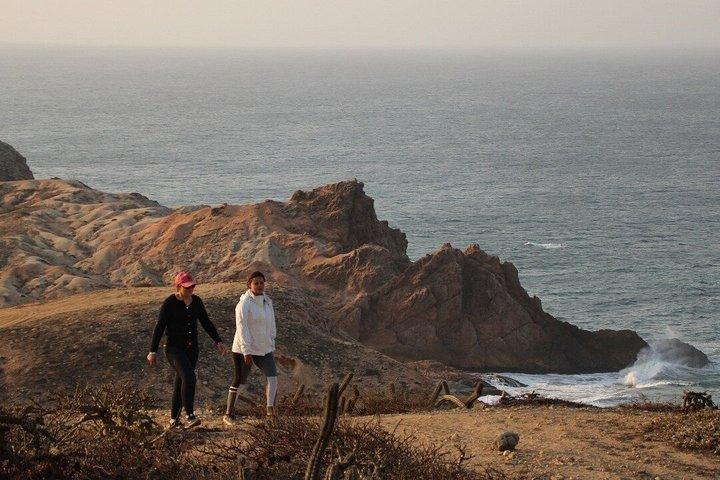 Sunrise Guided Desert Hike in Los Cabos