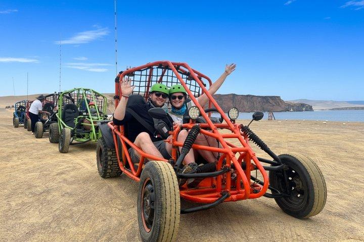 Excursion d'une journée complète à Paracas et Huacachina au départ de Lima : Sunset Experience
