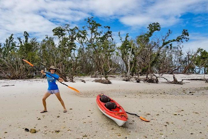 Florida Keys Eco Tour with Lunch and Transportation
