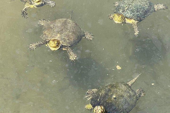 ブトリント・ウネスコ遺跡ツアー-ブルーアイ・クサミルとレクルシ城