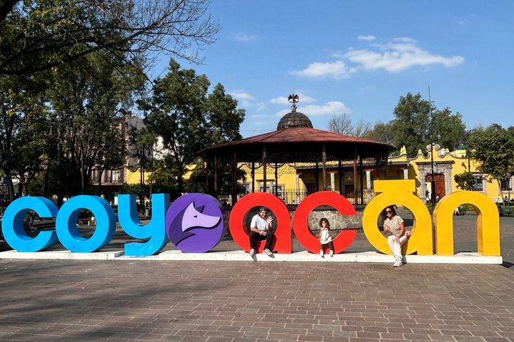 3ヶ所を巡るツアー：フリーダ・カーロ美術館、コヨアカン、ソチミルコ（少人数グループ）