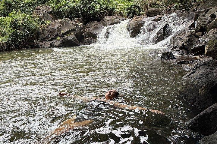Hike for Longevity & Nature Connection