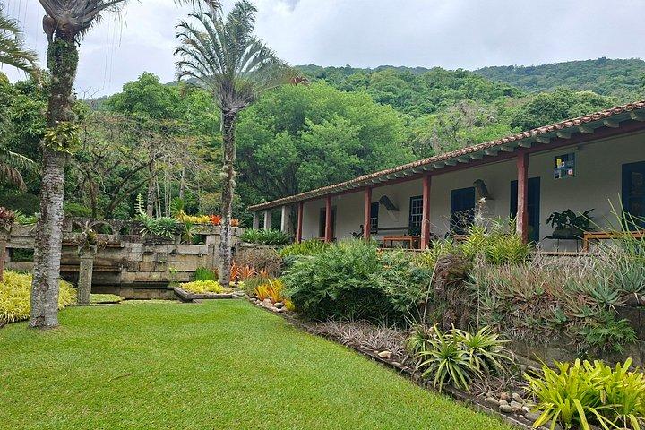 Landscape Experience in Rio: Inspired by Roberto Burle Marx