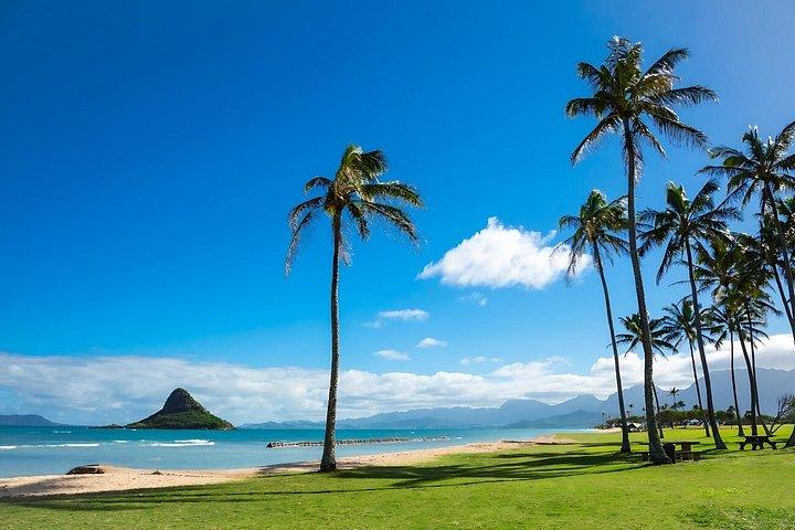 オアフ島1日ツアーとロックアフラ・ワイキキショーパッケージ