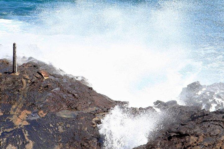 オアフ島1日ツアーとロックアフラ・ワイキキショーパッケージ